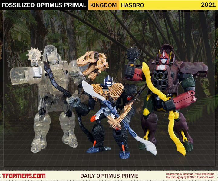 Daily Prime   Transformers Kingdom Fossilized Optimus Primal  (1 of 9)